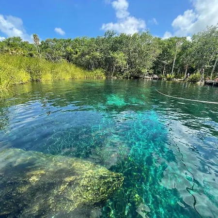 Casa Semilla Tulum Best Location To Explore Cenotes